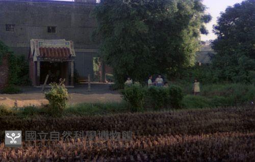 1950至2006年臺灣常民生活藏品圖，第1張