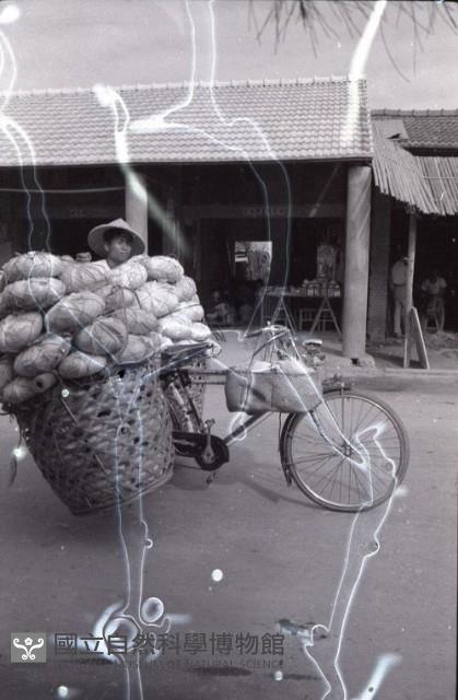 1950至2006年臺灣常民生活藏品圖，第1張