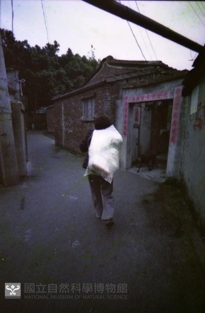 1950至2006年臺灣常民生活藏品圖，第1張