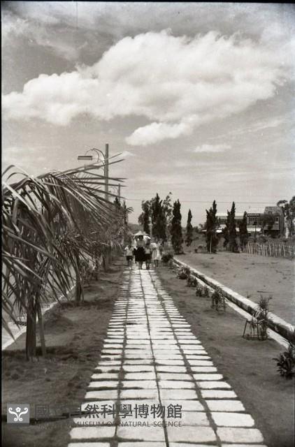 1950至2006年臺灣常民生活藏品圖，第1張