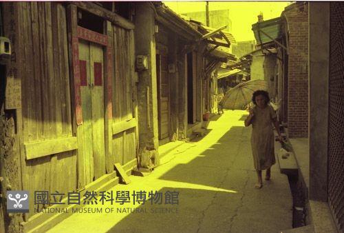 1950至2006年臺灣常民生活藏品圖，第1張