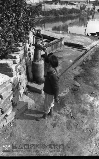1950至2006年臺灣常民生活藏品圖，第1張