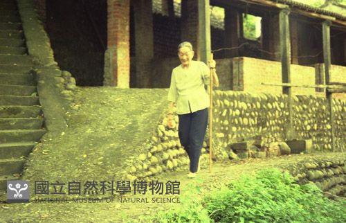 1950至2006年臺灣常民生活藏品圖，第1張