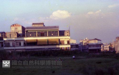1950至2006年臺灣常民生活藏品圖，第1張