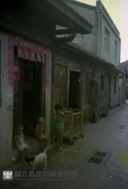 1950至2006年臺灣常民生活藏品圖，第1張