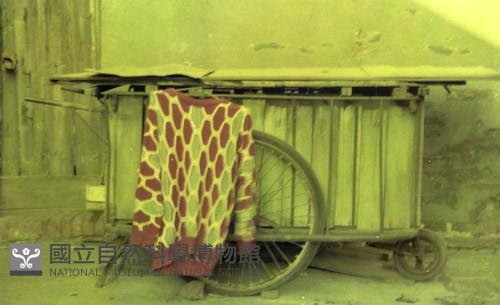 1950至2006年臺灣常民生活藏品圖，第1張