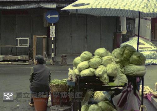 1950至2006年臺灣常民生活藏品圖，第1張