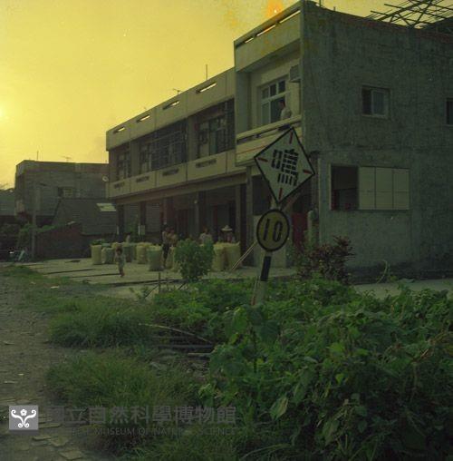 1950至2006年臺灣常民生活藏品圖，第1張