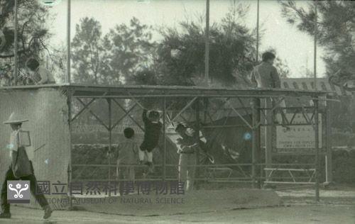 1950至2006年臺灣常民生活藏品圖，第1張