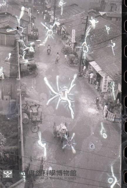 1950至2006年臺灣常民生活藏品圖，第1張