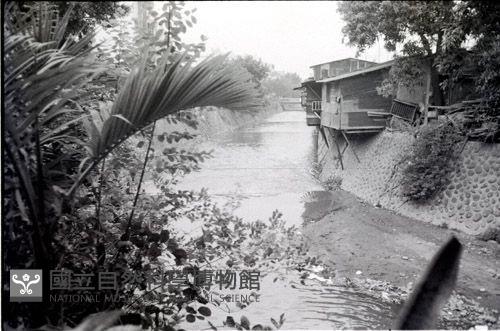 1950至2006年臺灣常民生活藏品圖，第1張