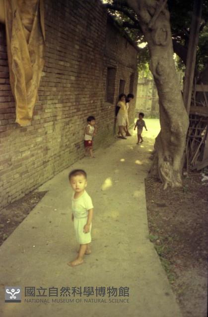 1950至2006年臺灣常民生活藏品圖，第1張