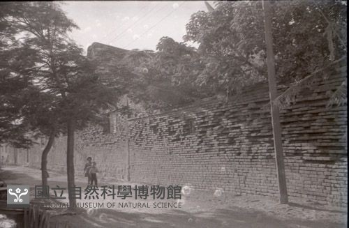 1950至2006年臺灣常民生活藏品圖，第1張