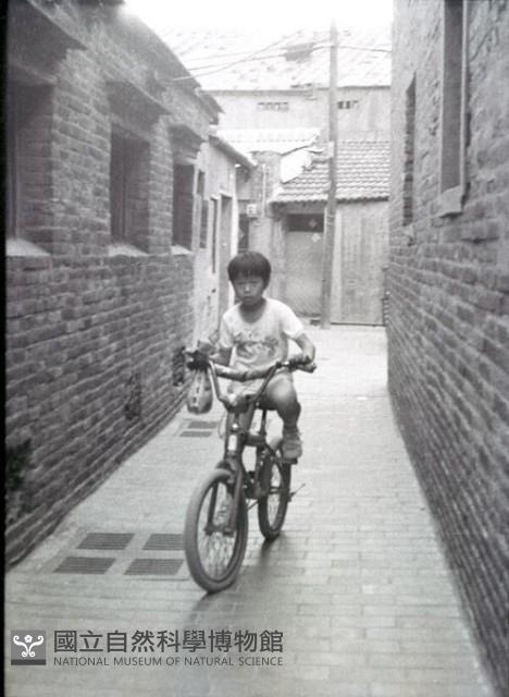1950至2006年臺灣常民生活藏品圖，第1張