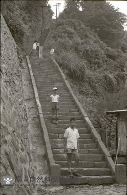 1950至2006年臺灣常民生活藏品圖，第1張