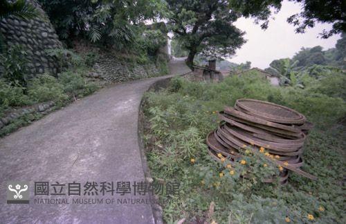 1950至2006年臺灣常民生活藏品圖，第1張