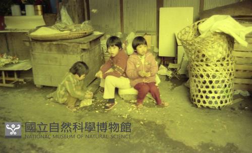 1950至2006年臺灣常民生活藏品圖，第1張