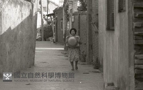 1950至2006年臺灣常民生活藏品圖，第1張