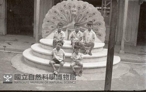 1950至2006年臺灣常民生活藏品圖，第1張