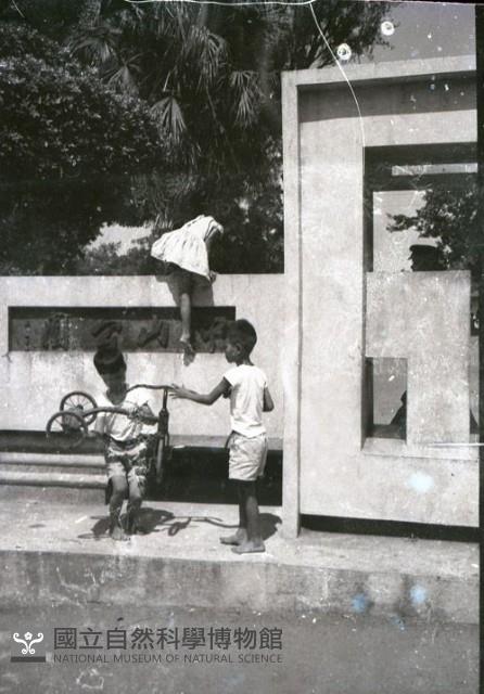 1950至2006年臺灣常民生活藏品圖，第1張