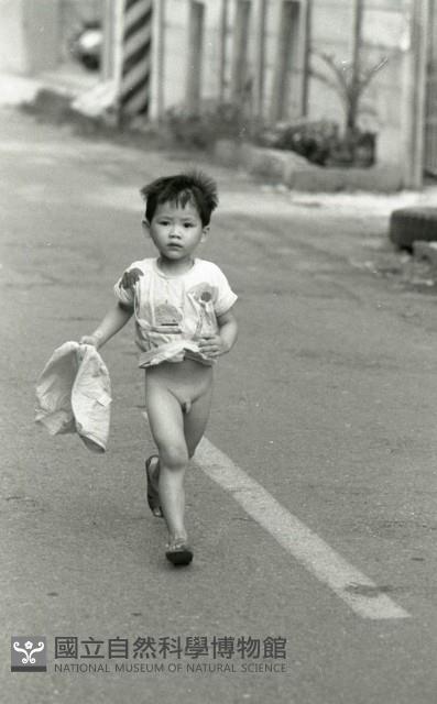 1950至2006年臺灣常民生活藏品圖，第1張