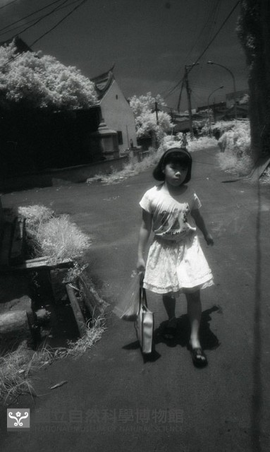 1950至2006年臺灣常民生活藏品圖，第1張