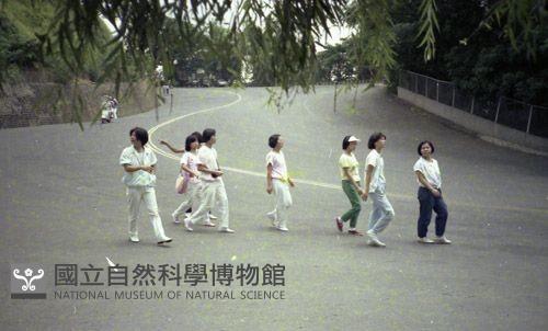 1950至2006年臺灣常民生活藏品圖，第1張