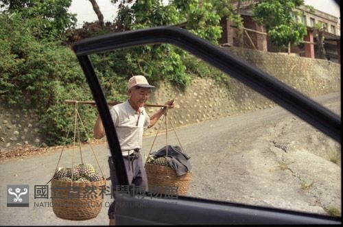 1950至2006年臺灣常民生活藏品圖，第1張
