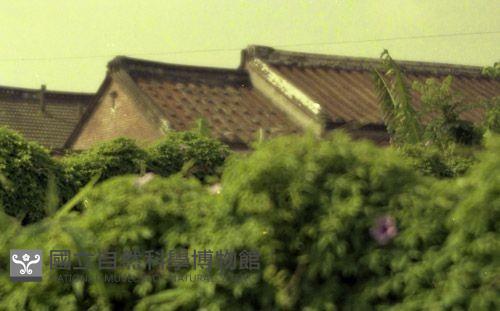 1950至2006年臺灣常民生活藏品圖，第1張