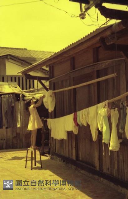 1950至2006年臺灣常民生活藏品圖，第1張