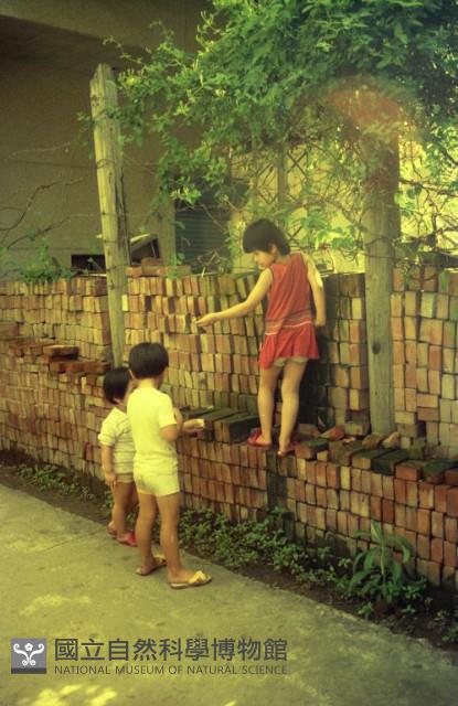 1950至2006年臺灣常民生活藏品圖，第1張