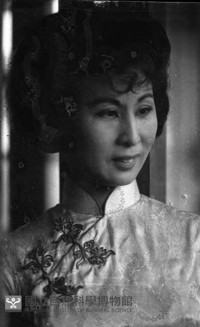 1950至2006年臺灣常民生活藏品圖，第1張