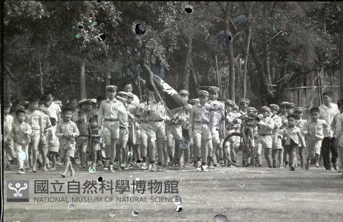 1950至2006年臺灣常民生活藏品圖，第1張