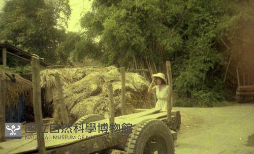 1950至2006年臺灣常民生活藏品圖，第1張