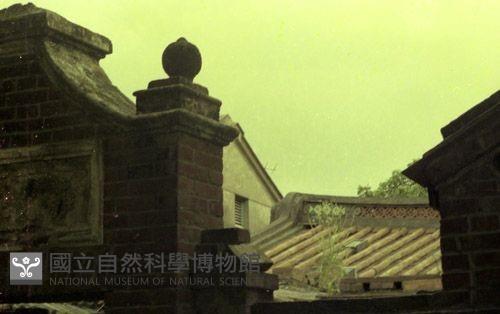 1950至2006年臺灣常民生活藏品圖，第1張