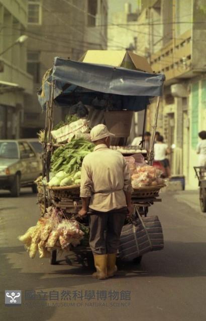 1950至2006年臺灣常民生活藏品圖，第1張