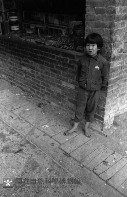 1950至2006年臺灣常民生活藏品圖，第1張