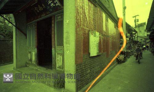 1950至2006年臺灣常民生活藏品圖，第1張