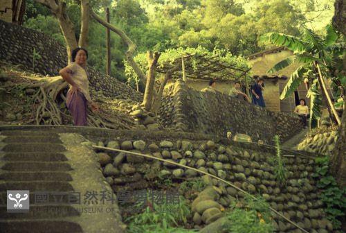 1950至2006年臺灣常民生活藏品圖，第1張