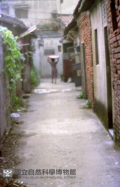 1950至2006年臺灣常民生活藏品圖，第1張