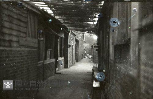1950至2006年臺灣常民生活藏品圖，第1張