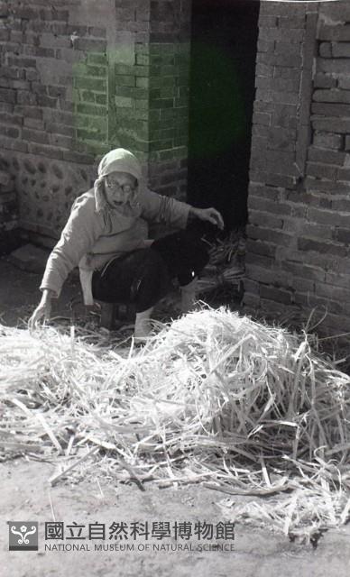 1950至2006年臺灣常民生活藏品圖，第1張