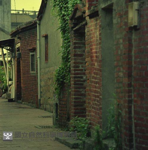 1950至2006年臺灣常民生活藏品圖，第1張