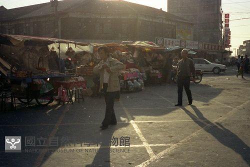 1950至2006年臺灣常民生活藏品圖，第1張