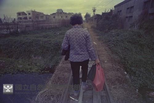 1950至2006年臺灣常民生活藏品圖，第1張