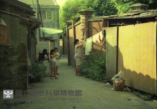 1950至2006年臺灣常民生活藏品圖，第1張