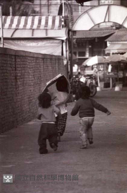 1950至2006年臺灣常民生活藏品圖，第1張