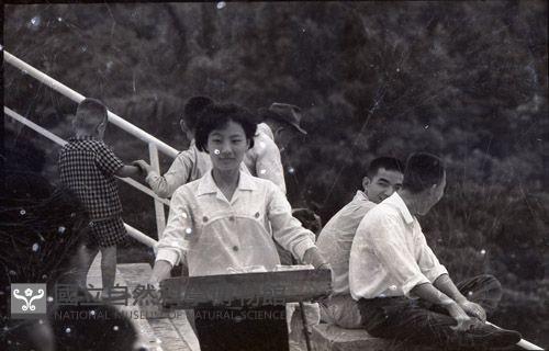 1950至2006年臺灣常民生活藏品圖，第1張