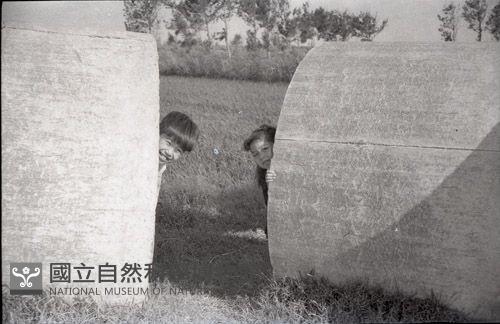 1950至2006年臺灣常民生活藏品圖，第1張