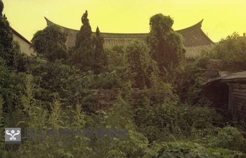 1950至2006年臺灣常民生活藏品圖，第1張